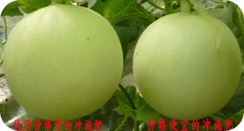 甜瓜沖施肥對比效果 甜瓜沖施肥對比效果