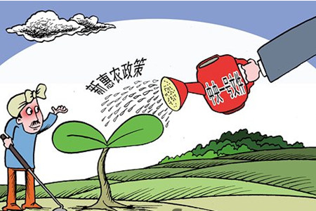 農(nóng)業(yè)發(fā)展及三農(nóng)政策 農(nóng)業(yè)發(fā)展及三農(nóng)政策