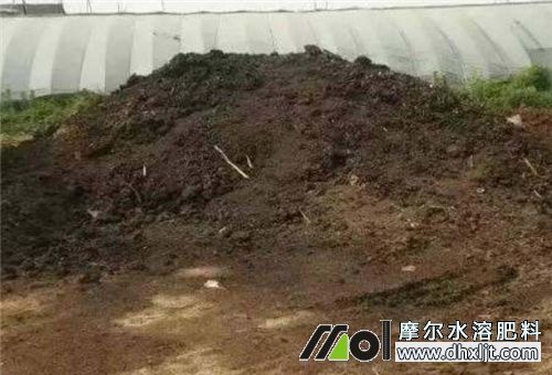 芹菜施肥量 芹菜施肥量