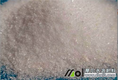 沖施肥肥效時長 沖施肥肥效時長