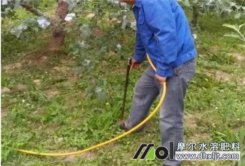 果園一次沖多少肥 果園一次沖多少肥