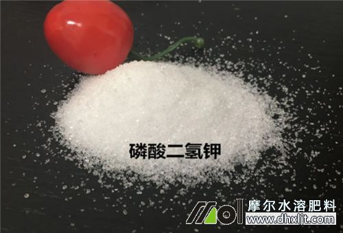 黃瓜結(jié)瓜期沖肥 黃瓜結(jié)瓜期沖肥