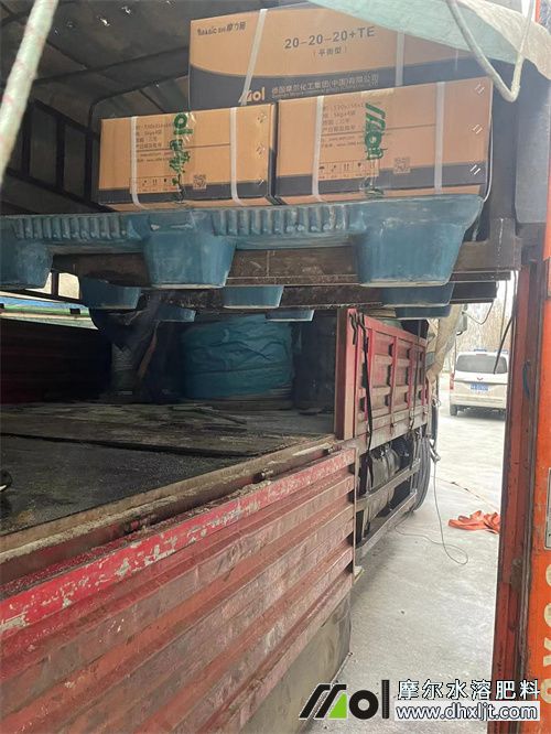 mmexport1708485836524.jpg mmexport1708485836524.jpg