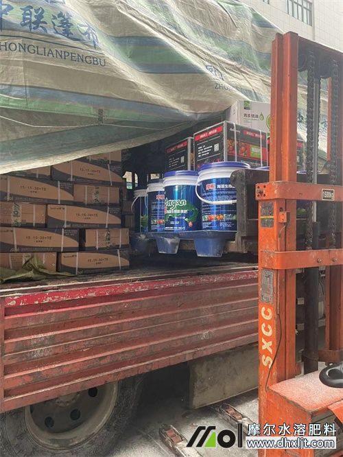 mmexport1708485848275.jpg mmexport1708485848275.jpg