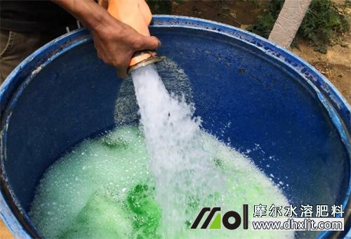 沖施肥用法 沖施肥用法