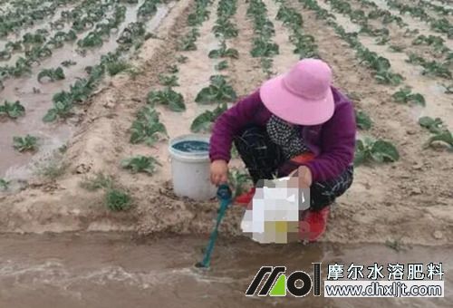 沖施肥的選擇 沖施肥的選擇